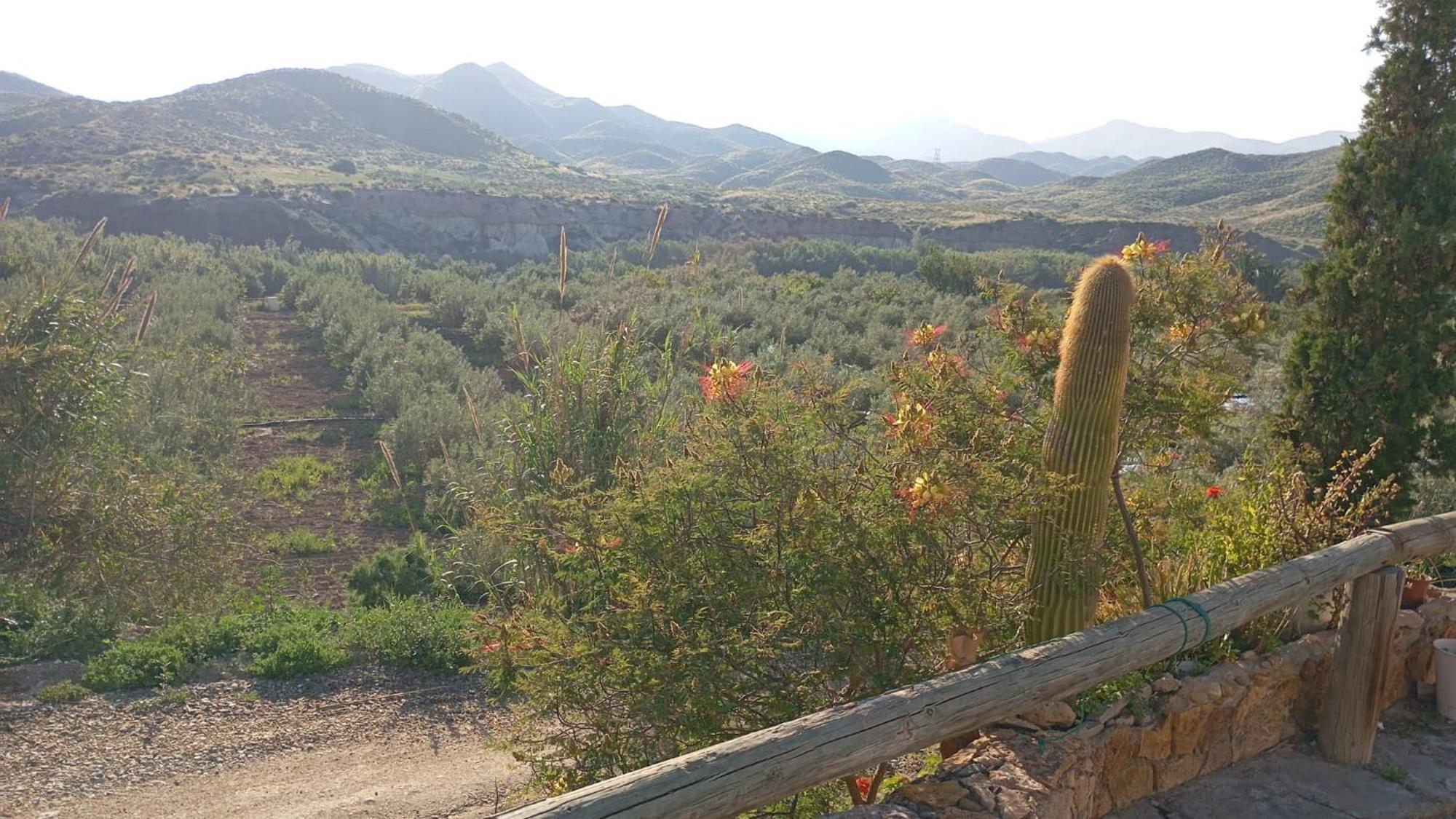 Cortijo Rural Molino El Tarahal Con Piscina Y Zonas Compartidas Dış mekan fotoğraf